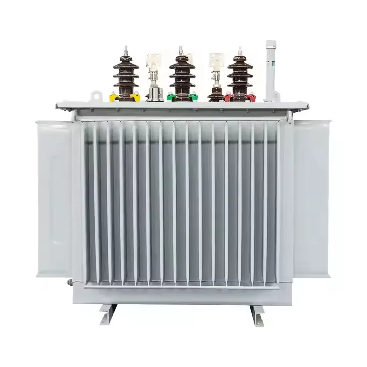 1000KVA তেল নিমজ্জন ট্রান্সফর্মার